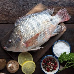Fresh Tilapia Fish