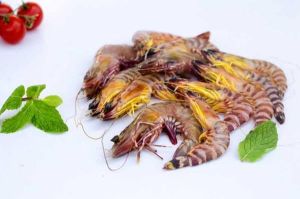 Fresh Whole Flower Prawn