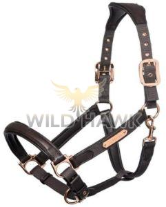 Premium Padded Nylon Halter with Rose Gold Hardware