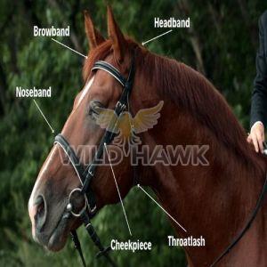 Two Tone Leather Horse Bridle