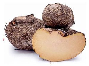 A Grade Elephant Yam