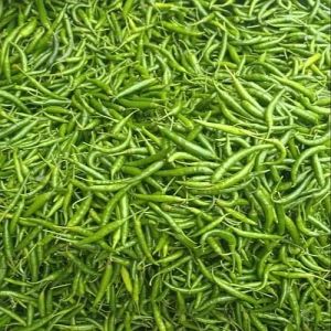 A Grade Gauri Green Chilli