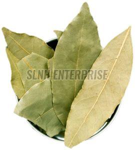 Laurel Leaves