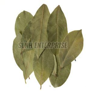 Laurel Leaves