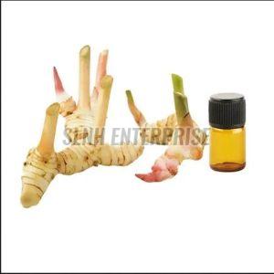Galangal Oil