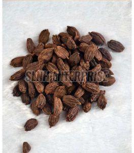 Black Cardamom