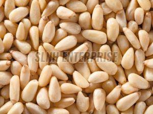 Dried Pine Nut