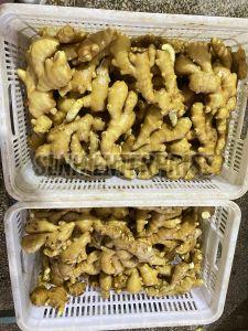 Fresh Ginger
