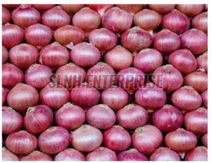 fresh onion