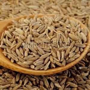 Cumin Seeds Powder