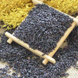 Black Glutinous Rice