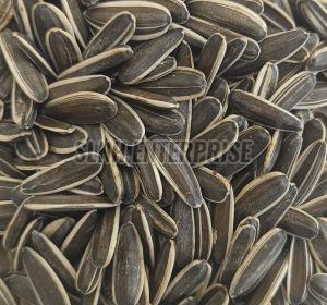 sunflower seed