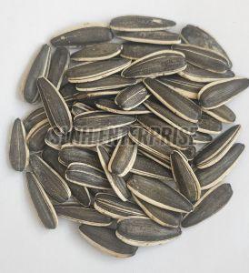 sunflower seed