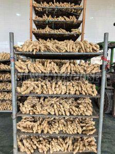 Fresh Ginger