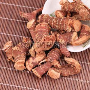 Galangal
