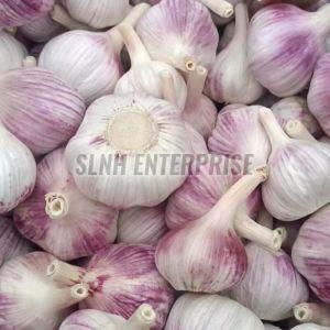 fresh garlic