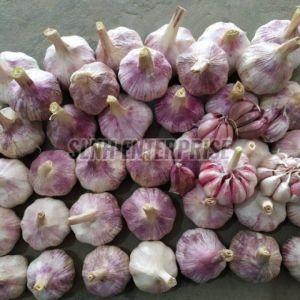 fresh garlic