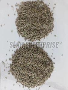 Organic Cumin Seeds
