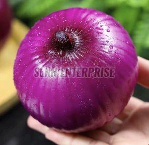 fresh onion
