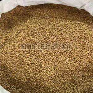 Fenugreek Seed