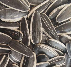 sunflower seed
