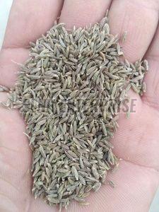 Organic Cumin Seeds