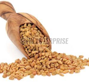Fenugreek Seed