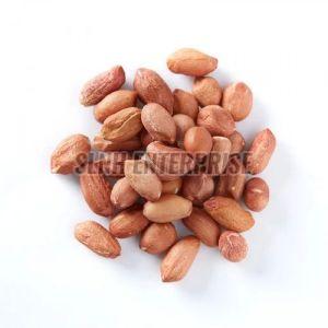Natural Raw Groundnut