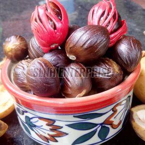 Nutmeg