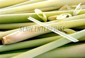 Lemongrass
