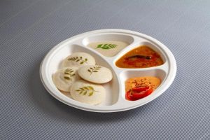 Biodegradable Sugarcane Bagasse Plate