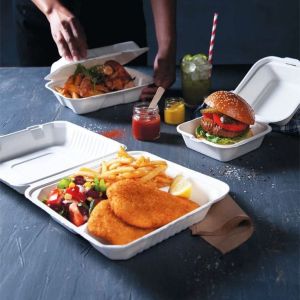 Sugarcane Bagasse Clamshell Box