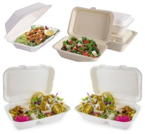 Sugarcane Bagasse Clamshell Box
