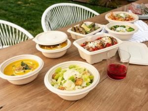 Sugarcane Bagasse Clamshell Box
