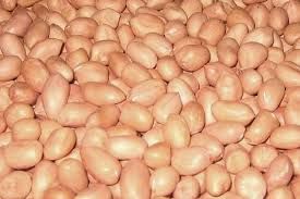 Java Peanuts