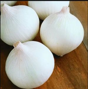 Fresh White Onion