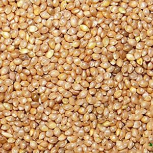 Barnyard Millets