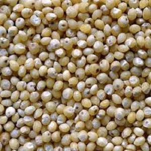 Dried Millets