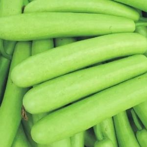 Fresh Bottle Gourd