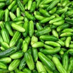 Fresh Ivy Gourd