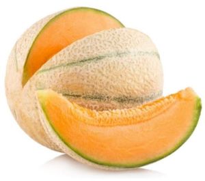 Fresh Muskmelon