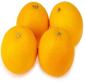 Fresh Orange