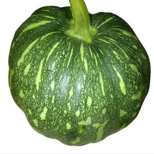Fresh Pumpkin