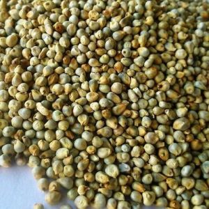 Green Millets