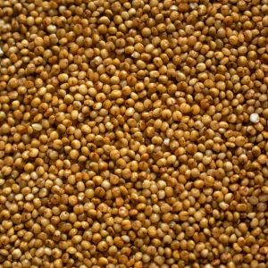 Kodo Millets