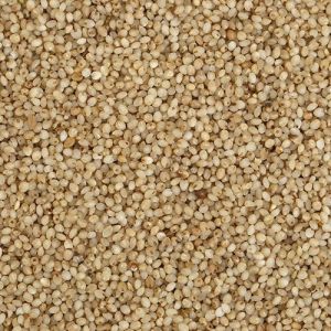 Samai Millets