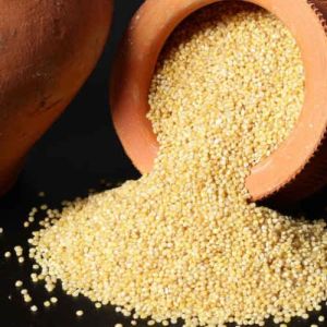 Thinai Millets