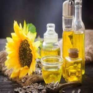 Sunflower Oil