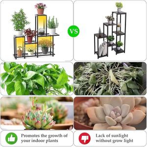 Metal 5 Tier Plant Stand For Balcony