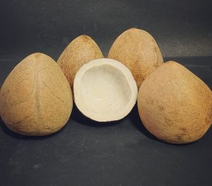 A Grade Dry Coconut Copra